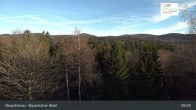 Archiv Foto Webcam Neuschönau - Besucherzentrum Nationalpark Bayerischer Wald 08:00