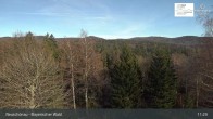 Archiv Foto Webcam Neuschönau - Besucherzentrum Nationalpark Bayerischer Wald 10:00