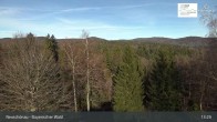 Archiv Foto Webcam Neuschönau - Besucherzentrum Nationalpark Bayerischer Wald 12:00