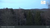 Archiv Foto Webcam Neuschönau - Besucherzentrum Nationalpark Bayerischer Wald 16:00