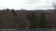 Archiv Foto Webcam Neuschönau - Besucherzentrum Nationalpark Bayerischer Wald 10:00