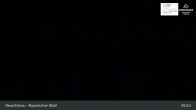 Archiv Foto Webcam Neuschönau - Besucherzentrum Nationalpark Bayerischer Wald 23:00