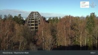 Archiv Foto Webcam Neuschönau - Besucherzentrum Nationalpark Bayerischer Wald 08:00