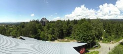 Archived image Webcam Neuschönau - Tree Top Walk Bavarian Forest 08:00