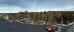 Archived image Webcam Neuschönau - Tree Top Walk Bavarian Forest 09:00