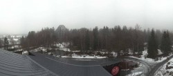 Archived image Webcam Neuschönau - Tree Top Walk Bavarian Forest 13:00