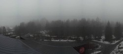 Archived image Webcam Neuschönau - Tree Top Walk Bavarian Forest 15:00