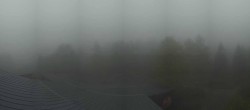Archived image Webcam Neuschönau - Tree Top Walk Bavarian Forest 05:00