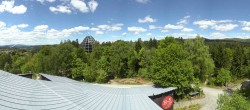 Archiv Foto Webcam Neuschönau - Baumwipfelpfad Bayerischer Wald 11:00