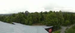Archived image Webcam Neuschönau - Tree Top Walk Bavarian Forest 11:00