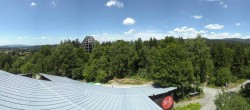 Archiv Foto Webcam Neuschönau - Baumwipfelpfad Bayerischer Wald 11:00