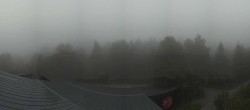 Archiv Foto Webcam Neuschönau - Baumwipfelpfad Bayerischer Wald 05:00