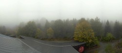Archiv Foto Webcam Neuschönau - Baumwipfelpfad Bayerischer Wald 08:00