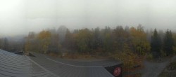 Archived image Webcam Neuschönau - Tree Top Walk Bavarian Forest 13:00