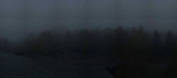 Archived image Webcam Neuschönau - Tree Top Walk Bavarian Forest 05:00