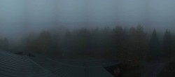 Archived image Webcam Neuschönau - Tree Top Walk Bavarian Forest 06:00