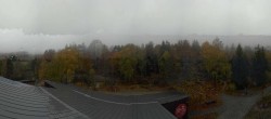 Archived image Webcam Neuschönau - Tree Top Walk Bavarian Forest 07:00
