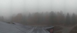 Archived image Webcam Neuschönau - Tree Top Walk Bavarian Forest 09:00