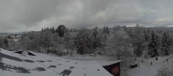Archiv Foto Webcam Neuschönau - Baumwipfelpfad Bayerischer Wald 13:00