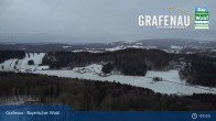 Archiv Foto Webcam Bärenstadt Grafenau 07:00