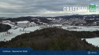 Archiv Foto Webcam Bärenstadt Grafenau 08:00