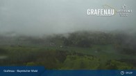 Archiv Foto Webcam Bärenstadt Grafenau 08:00
