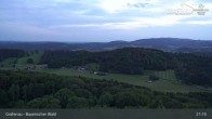 Archiv Foto Webcam Bärenstadt Grafenau 20:00