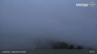 Archiv Foto Webcam Bärenstadt Grafenau 04:00