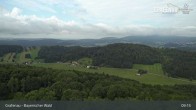 Archiv Foto Webcam Bärenstadt Grafenau 08:00