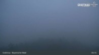 Archiv Foto Webcam Bärenstadt Grafenau 04:00