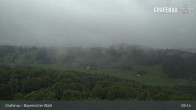Archiv Foto Webcam Bärenstadt Grafenau 08:00