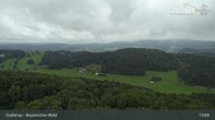 Archiv Foto Webcam Bärenstadt Grafenau 12:00