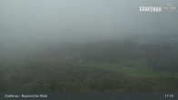Archiv Foto Webcam Bärenstadt Grafenau 10:00