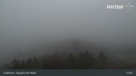 Archiv Foto Webcam Bärenstadt Grafenau 12:00