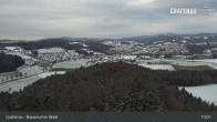 Archiv Foto Webcam Bärenstadt Grafenau 14:00
