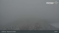 Archiv Foto Webcam Bärenstadt Grafenau 08:00