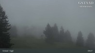 Archived image Webcam Gstaad - Eggli Mountain Restaurant 08:00