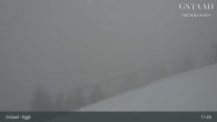 Archiv Foto Webcam Gstaad - Blick zum Eggli Bergrestaurant 10:00