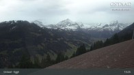 Archiv Foto Webcam Gstaad - Blick zum Eggli Bergrestaurant 12:00