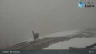 Archiv Foto Webcam Arabba - Bergstation Monte Burz 10:00