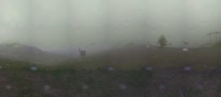 Archiv Foto Webcam Arabba - Bergrestaurant am Monte Burz 17:00