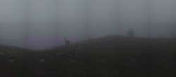 Archiv Foto Webcam Arabba - Bergrestaurant am Monte Burz 19:00