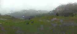 Archiv Foto Webcam Arabba - Bergrestaurant am Monte Burz 11:00