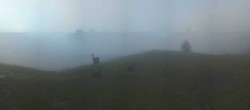 Archiv Foto Webcam Arabba - Bergrestaurant am Monte Burz 06:00