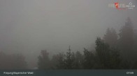 Archiv Foto Webcam Freyung im Bayerischen Wald 07:00