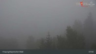 Archiv Foto Webcam Freyung im Bayerischen Wald 07:00