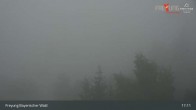Archiv Foto Webcam Freyung im Bayerischen Wald 16:00