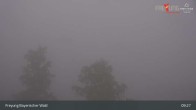 Archiv Foto Webcam Freyung im Bayerischen Wald 08:00