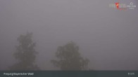 Archiv Foto Webcam Freyung im Bayerischen Wald 10:00
