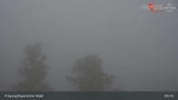 Archiv Foto Webcam Freyung im Bayerischen Wald 08:00